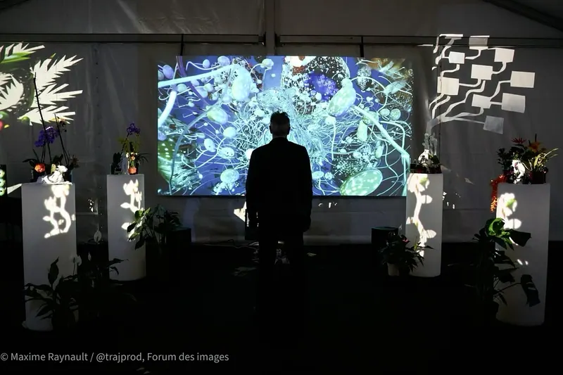 Una silueta frente a una pantalla de selva azul. Hay plantas sobre pedestales blancos iluminados. NewImages Festival, Forum des images, París, 2025.