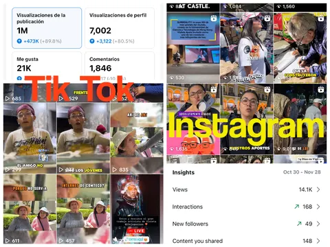 Estadísticas de TikTok e Instagram junto a cuadrículas de miniaturas de video: 1 millón de visualizaciones de las publicaciones y 21 mil me gusta.