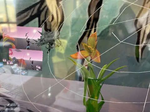 Una araña 3D en su tela junto a una flor naranja. Dos ventanas pequeñas muestran un mundo virtual rosado.